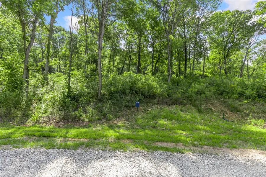 Lot 48 Restore Ridge, Harrison, AR 72601 - Image #2