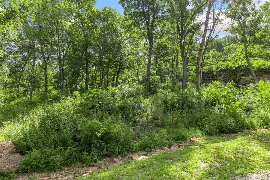 Lot 49 Restore Ridge, Harrison, AR 72601 - Image #2