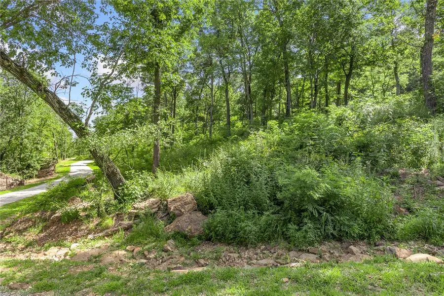 Lot 49 Restore Ridge, Harrison, AR 72601 - Image #3