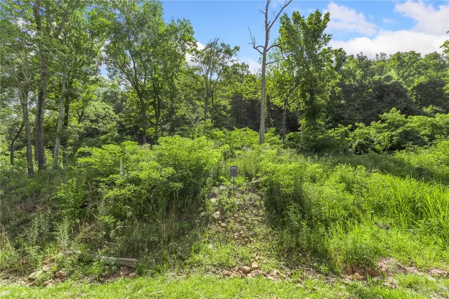 Lot 50 Restore Ridge, Harrison, AR 72601 - Image #2