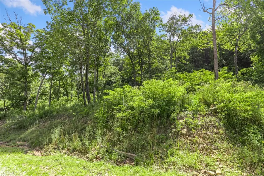 Lot 50 Restore Ridge, Harrison, AR 72601 - Image #3
