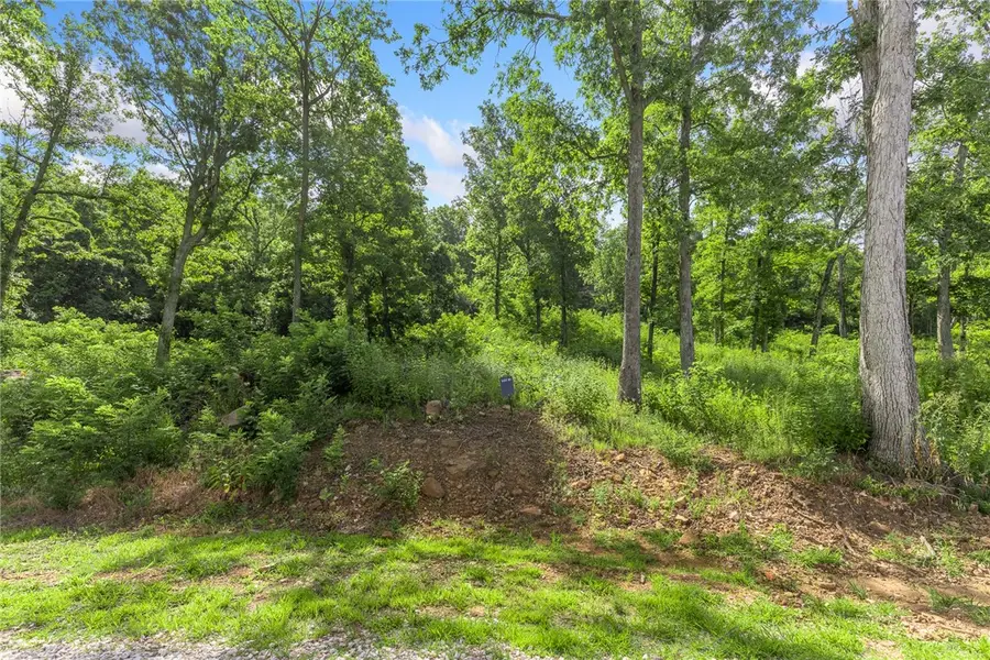 Lot 51 Restore Ridge, Harrison, AR 72601 - Image #2