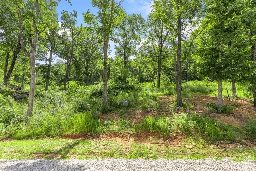 Lot 53 Restore Ridge, Harrison, AR 72601 - Image #2