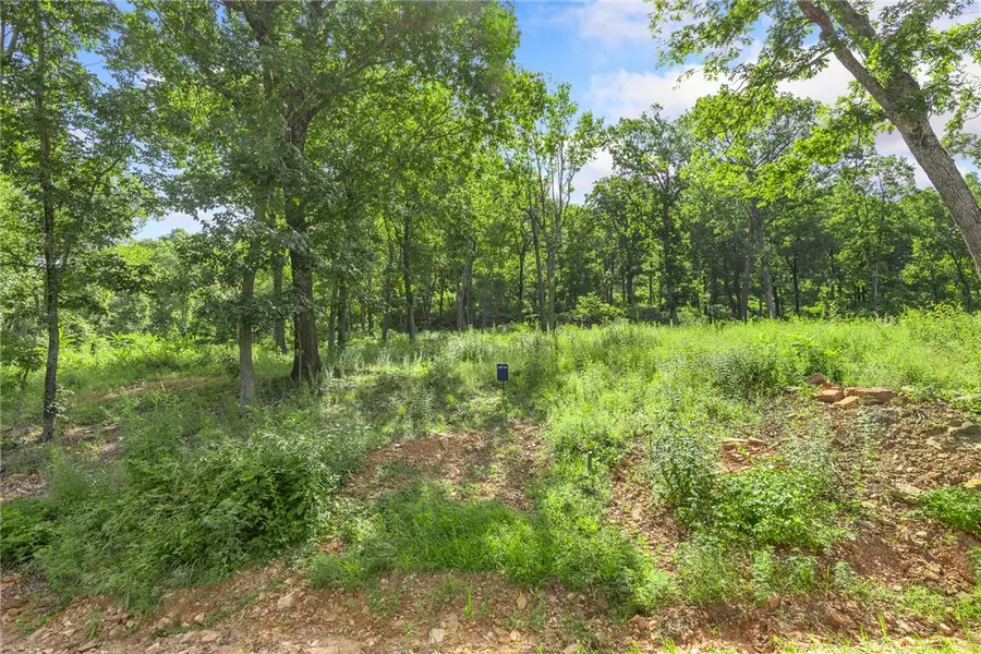 Lot 54 Restore Ridge, Harrison, AR 72601 - Image #2