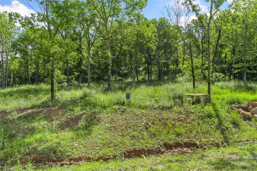 Lot 55 Restore Ridge, Harrison, AR 72601 - Image #2