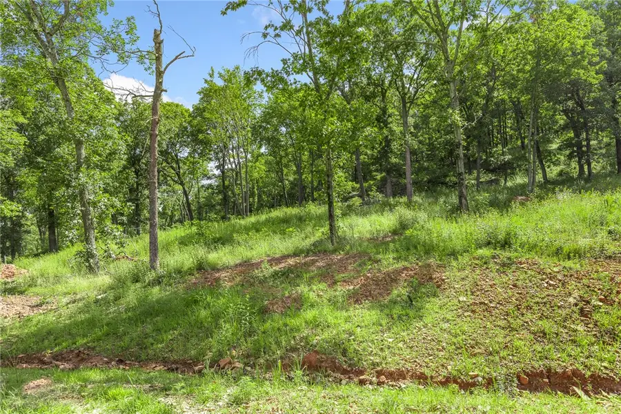 Lot 55 Restore Ridge, Harrison, AR 72601 - Image #3
