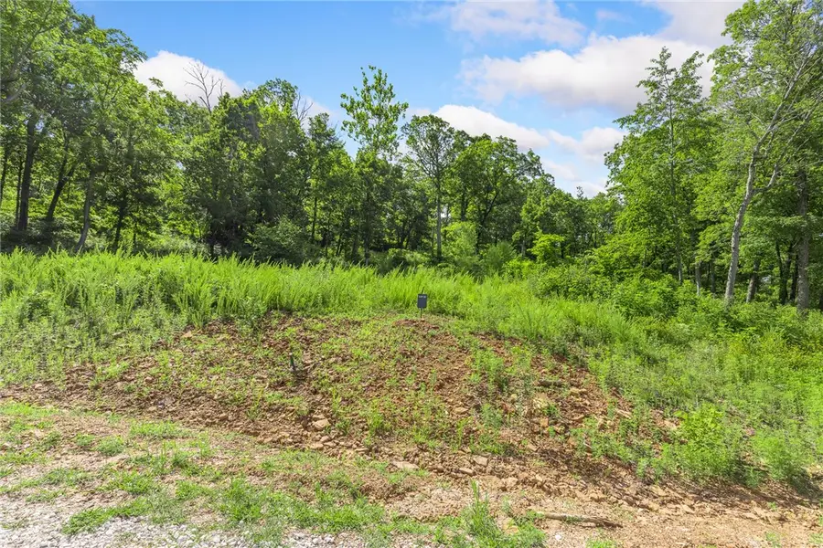 Lot 57 Restore Ridge, Harrison, AR 72601 - Image #2