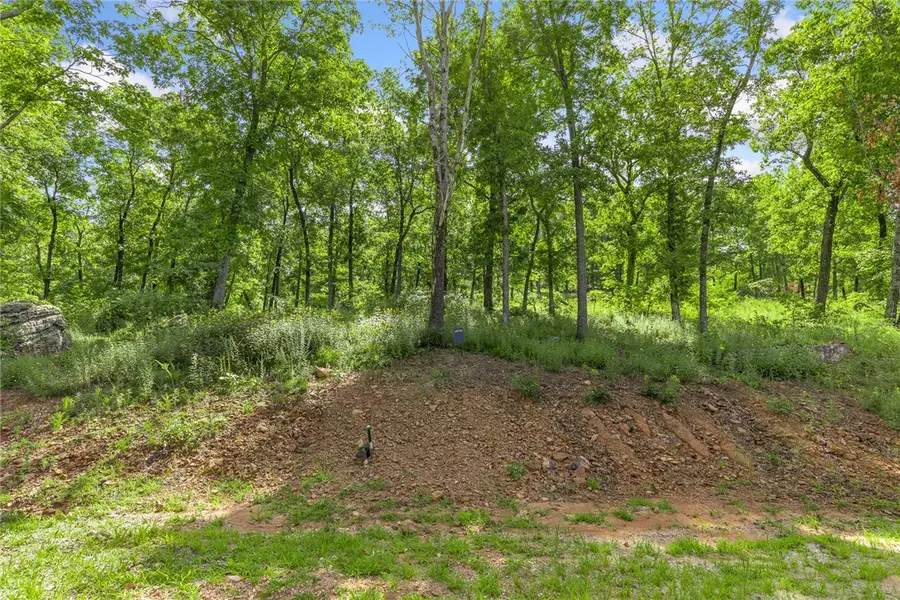Lot 59 Restore Ridge, Harrison, AR 72601 - Image #2