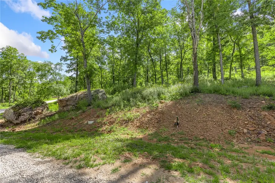 Lot 59 Restore Ridge, Harrison, AR 72601 - Image #3