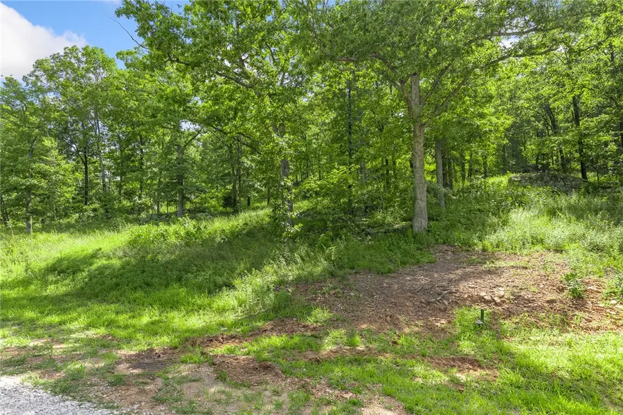 Lot 61 Restore Ridge, Harrison, AR 72601 - Image #3