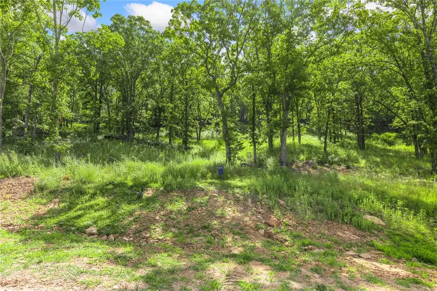 Lot 62 Restore Ridge, Harrison, AR 72601 - Image #2