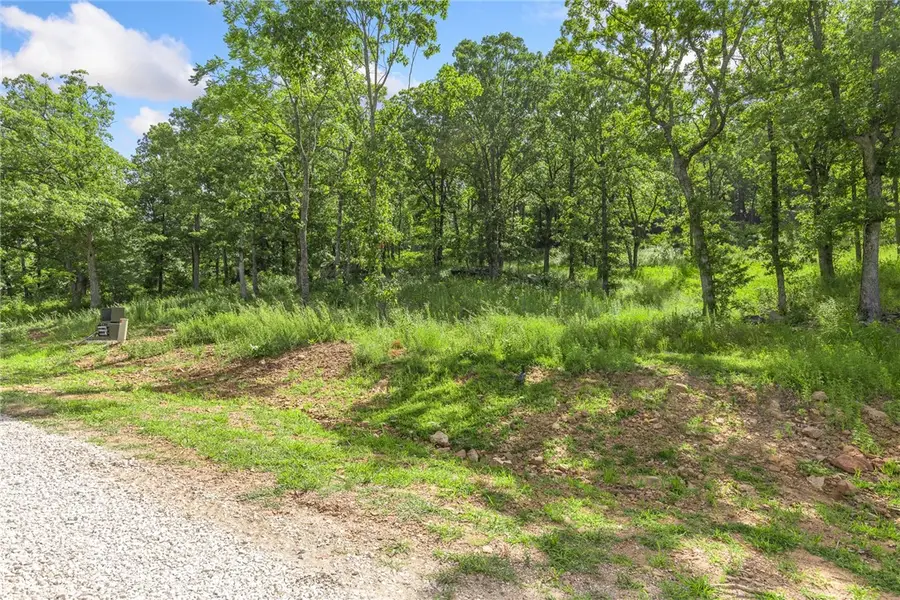 Lot 62 Restore Ridge, Harrison, AR 72601 - Image #3