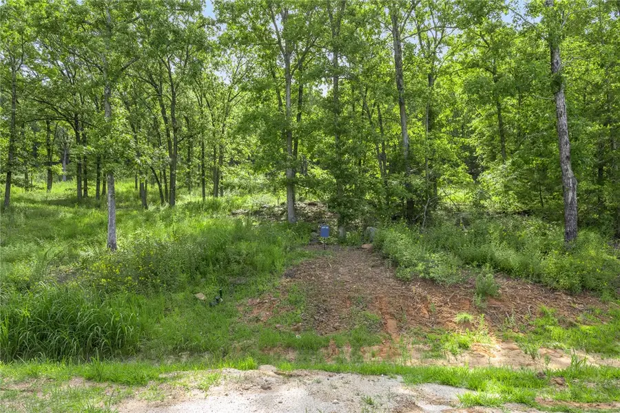 Lot 63 Restore Ridge, Harrison, AR 72601 - Image #2
