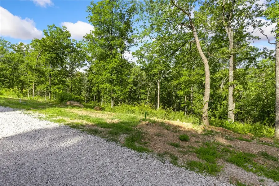 Lot 69 Restore Ridge, Harrison, AR 72601 - Image #3