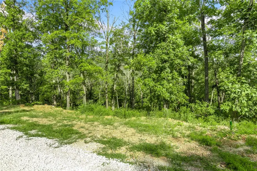 Lot 71 Restore Ridge, Harrison, AR 72601 - Image #3