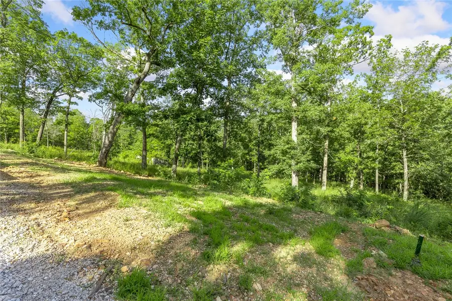 Lot 75 Restore Ridge, Harrison, AR 72601 - Image #3