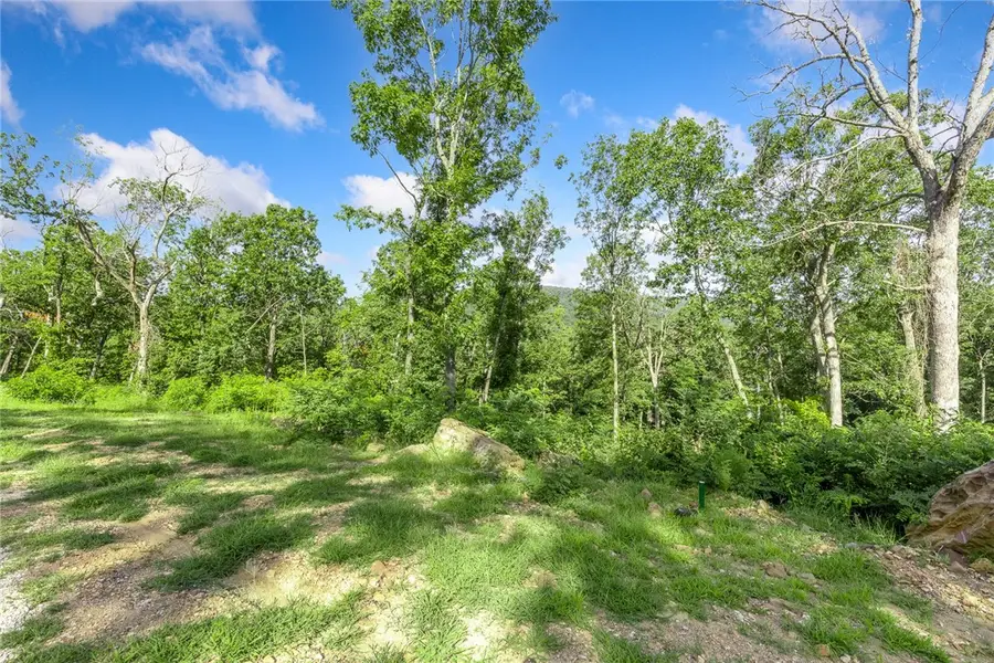 Lot 77 Restore Ridge, Harrison, AR 72601 - Image #3
