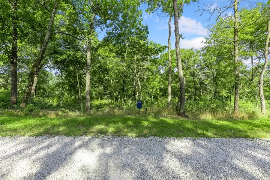 Lot 82 Restore Ridge, Harrison, AR 72601 - Image #2