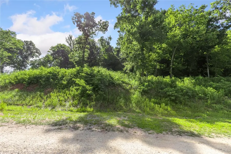 Lot 106 Peaceful Place, Harrison, AR 72601 - Image #2