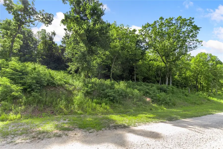 Lot 106 Peaceful Place, Harrison, AR 72601 - Image #3