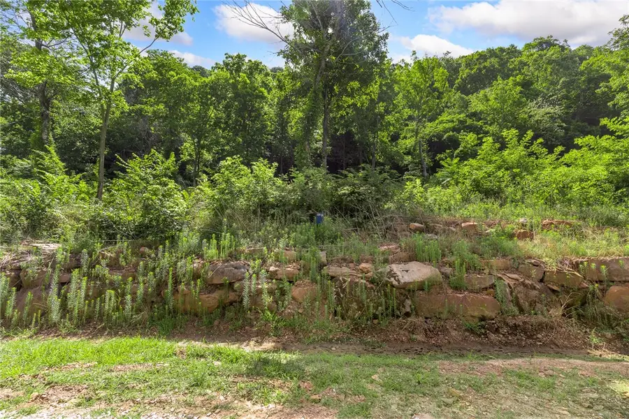 Lot 110 Significance Summit, Harrison, AR 72601 - Image #2