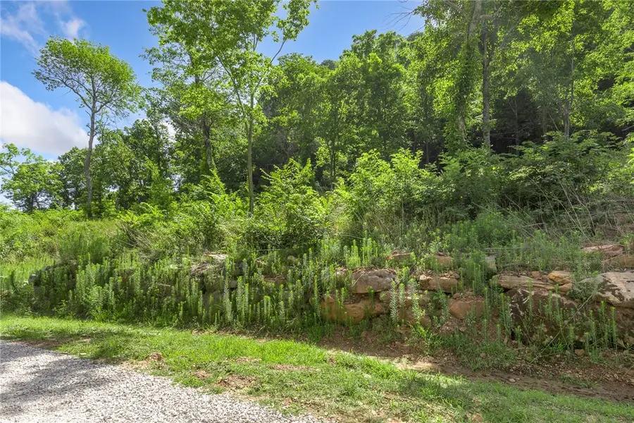 Lot 110 Significance Summit, Harrison, AR 72601 - Image #3