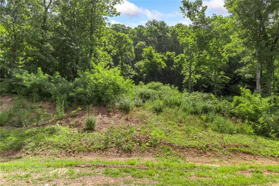 Lot 119 Significance Summit, Harrison, AR 72601 - Image #2