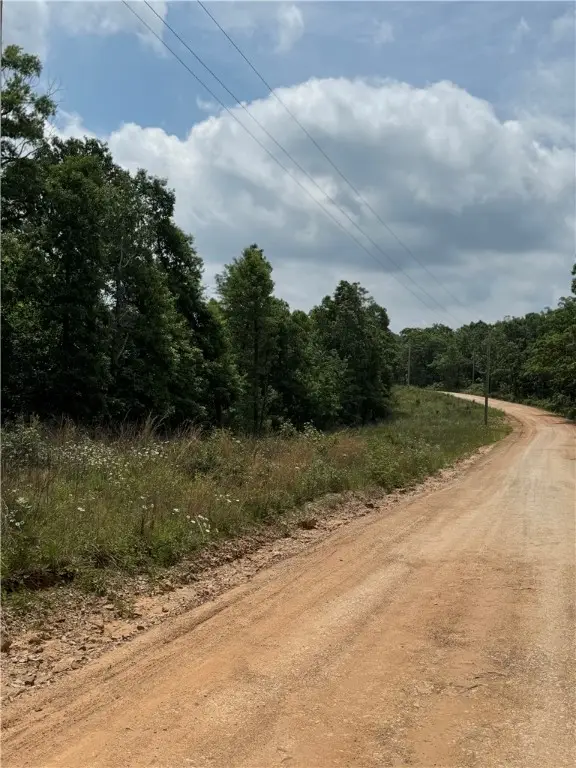 TBD Plumlee Road, Compton, AR 72624