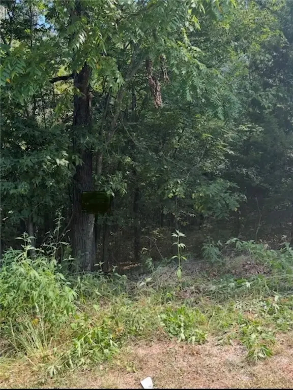 Lot 24 Block 3 Pennine Lane, Bella Vista, AR 72714