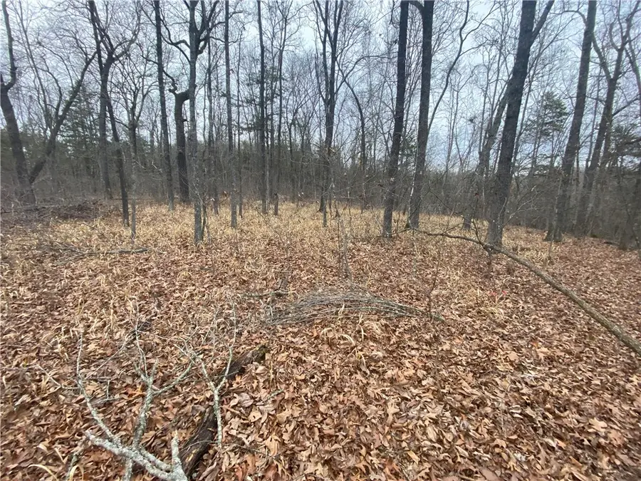 Nc 2900, Jasper, AR 72641 - Image #2