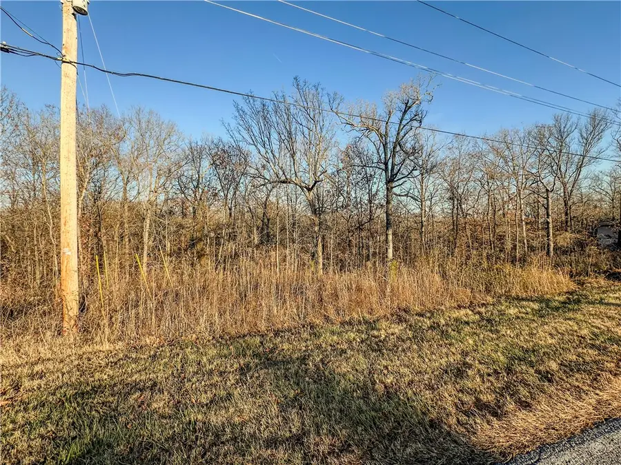 Lot 10 Block 1 Stoneykirk Drive, Bella Vista, AR 72715 - #2
