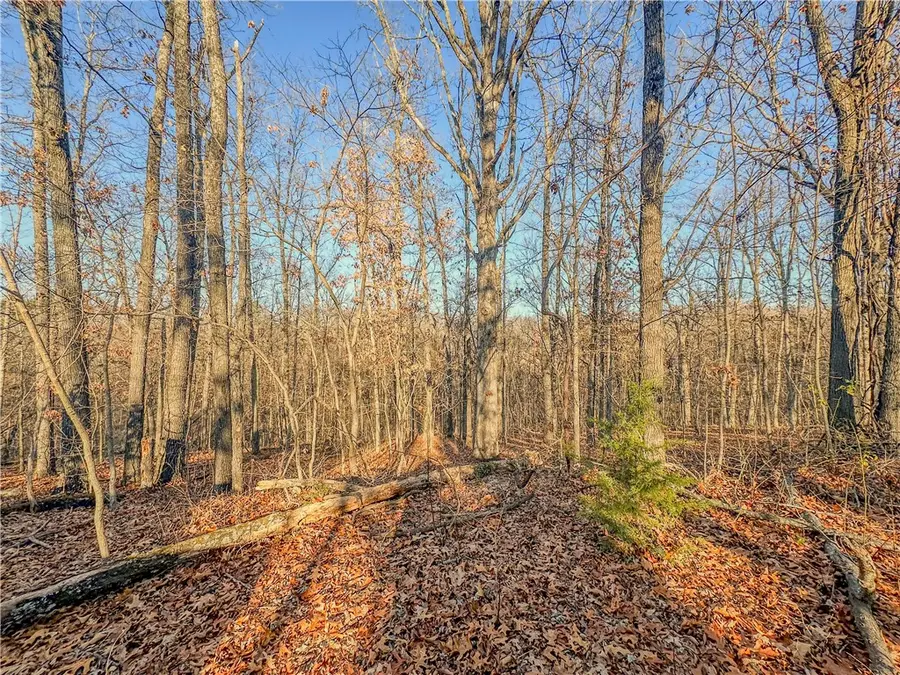 Lot 14 Block 2 Stilton Lane, Bella Vista, AR 72714 - #2