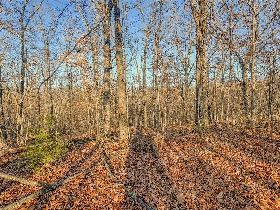 Lot 14 Block 2 Stilton Lane, Bella Vista, AR 72714 - #3