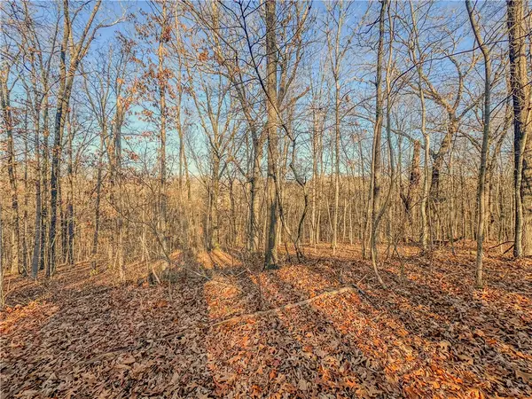 Lot 13 Block 2 Stilton Lane, Bella Vista, AR 72714