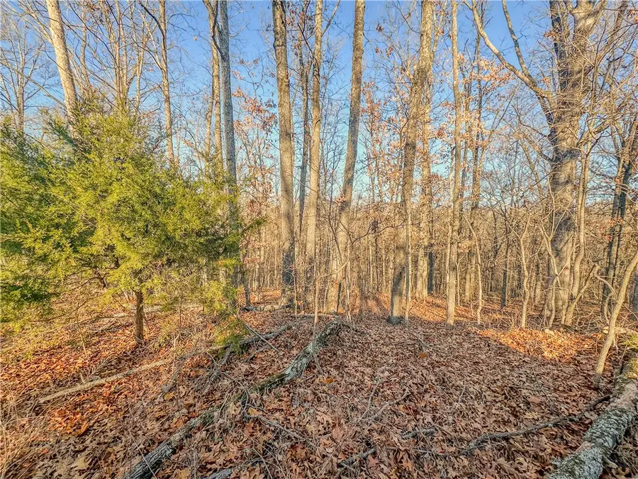 Lot 15 Block 2 Stilton Lane, Bella Vista, AR 72714 - #2