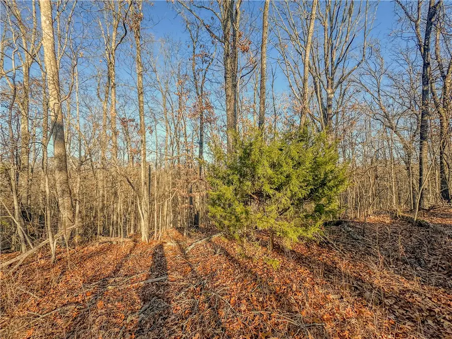 Lot 15 Block 2 Stilton Lane, Bella Vista, AR 72714 - #3