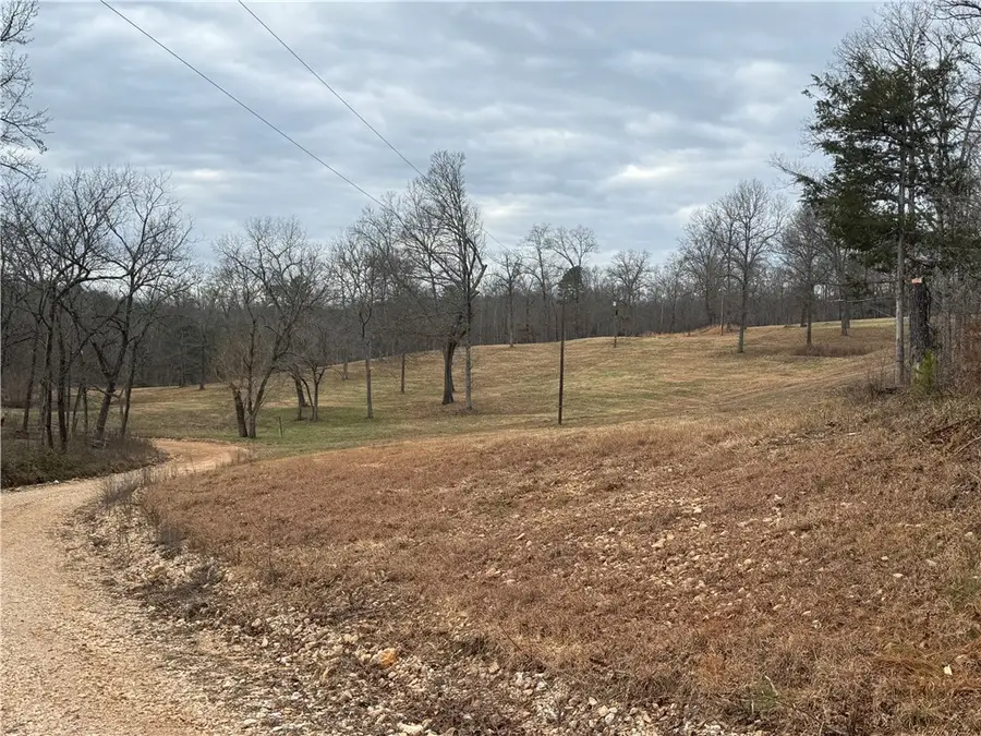 459 Nc 3057, Marble Falls, AR 72648 - Image #2