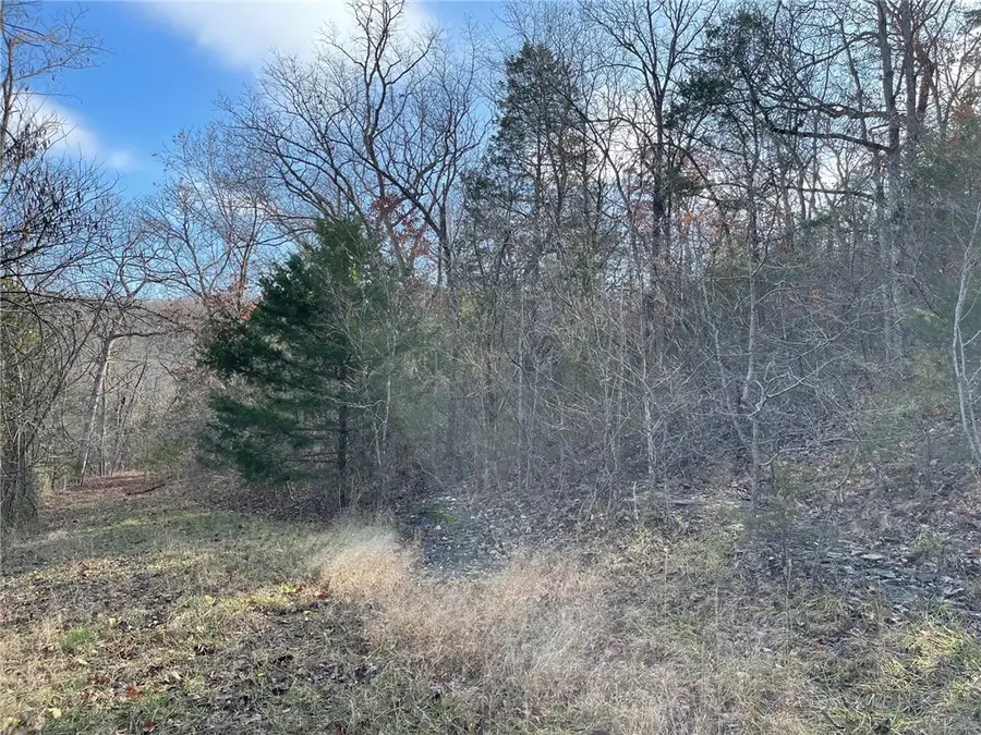 Ria Lane, Eureka Springs, AR 72631 - Image #2