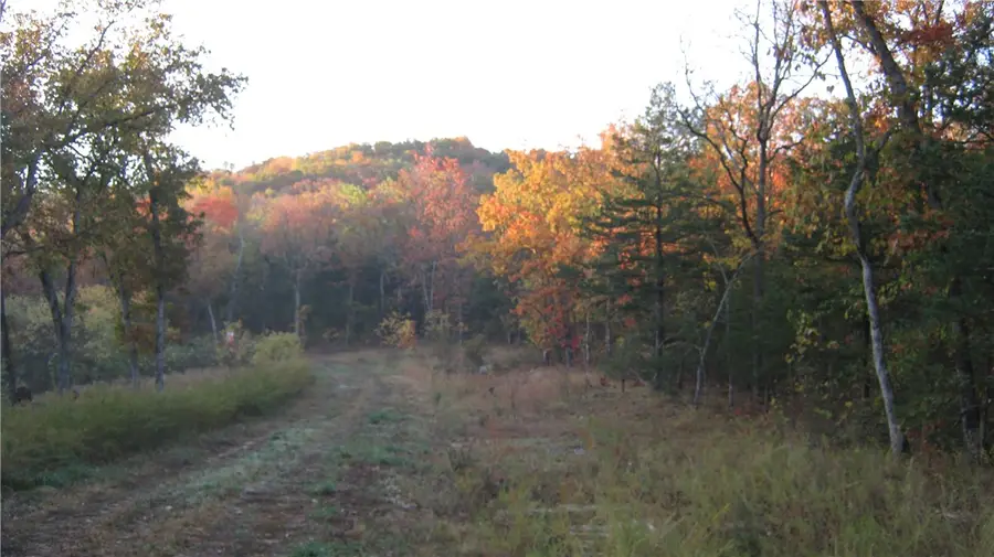 Ria Lane, Eureka Springs, AR 72631 - Image #3