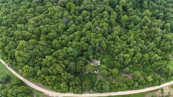 1267 Brushy Fork, Yellville, AR 72687