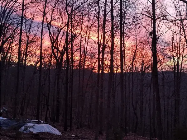 391 County Road 1486, Eureka Springs, AR 72632