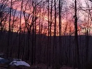 391 County Road 1486, Eureka Springs, AR 72632 - Image #1