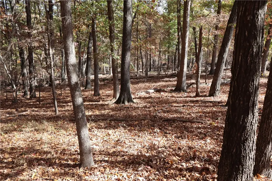 L774 Sweet Pea Drive, Rogers, AR 72756 - Image #3