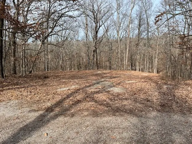 Lot 15 Block 2 Deal Lane, Bella Vista, AR 72714 - #2