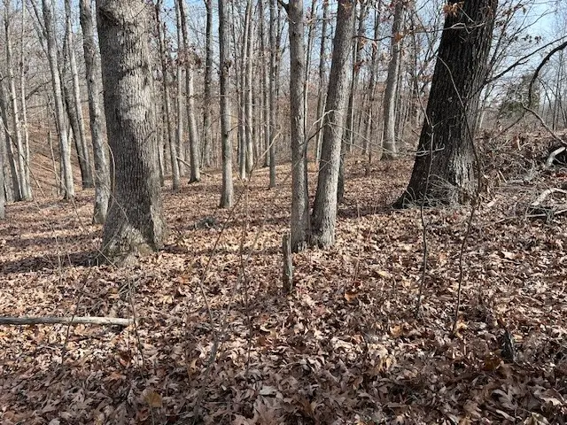 Lot 15 Block 2 Deal Lane, Bella Vista, AR 72714 - #3