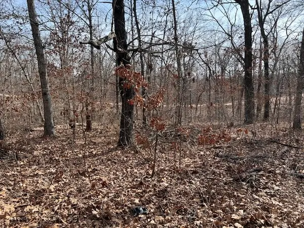 Lot 9 Block 1 Southborough Lane, Bella Vista, AR 72714