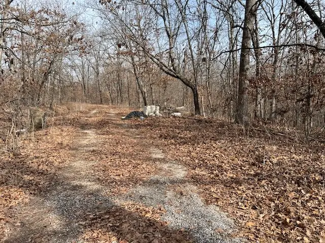 Lot 9 Block 1 Southborough Lane, Bella Vista, AR 72714 - Image #2