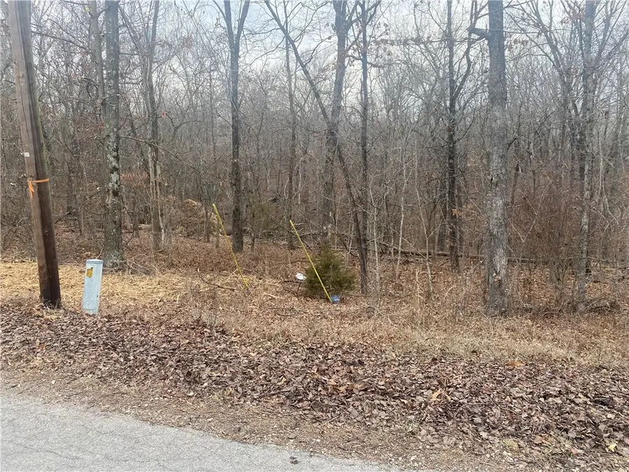 Chelmsworth Drive, Bella Vista, AR 72715 - #2