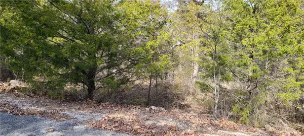 Unit 3-7-36 Valley Drive, Holiday Island, AR 72631