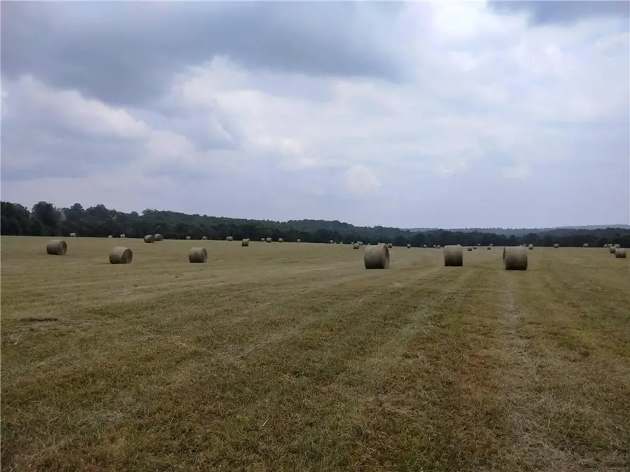 TBD County Road 1550, Compton, AR 72624 - Image #3